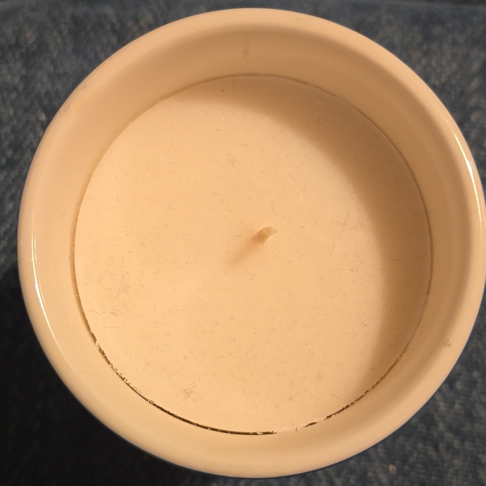 Daniella Manini x Anthropologie Capri Floral Lemon Blossom Boxed Ceramic Candle - Picture 7 of 14